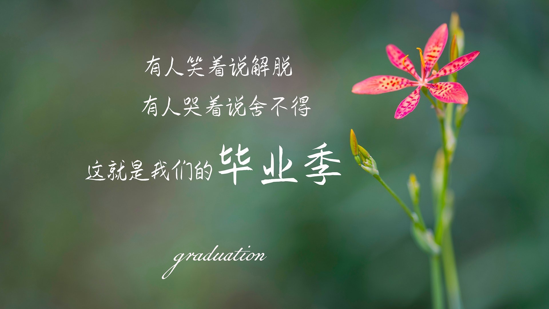 随机未来欧冠“王者之师”排行榜，谁能走到最后？，欧冠之王是谁