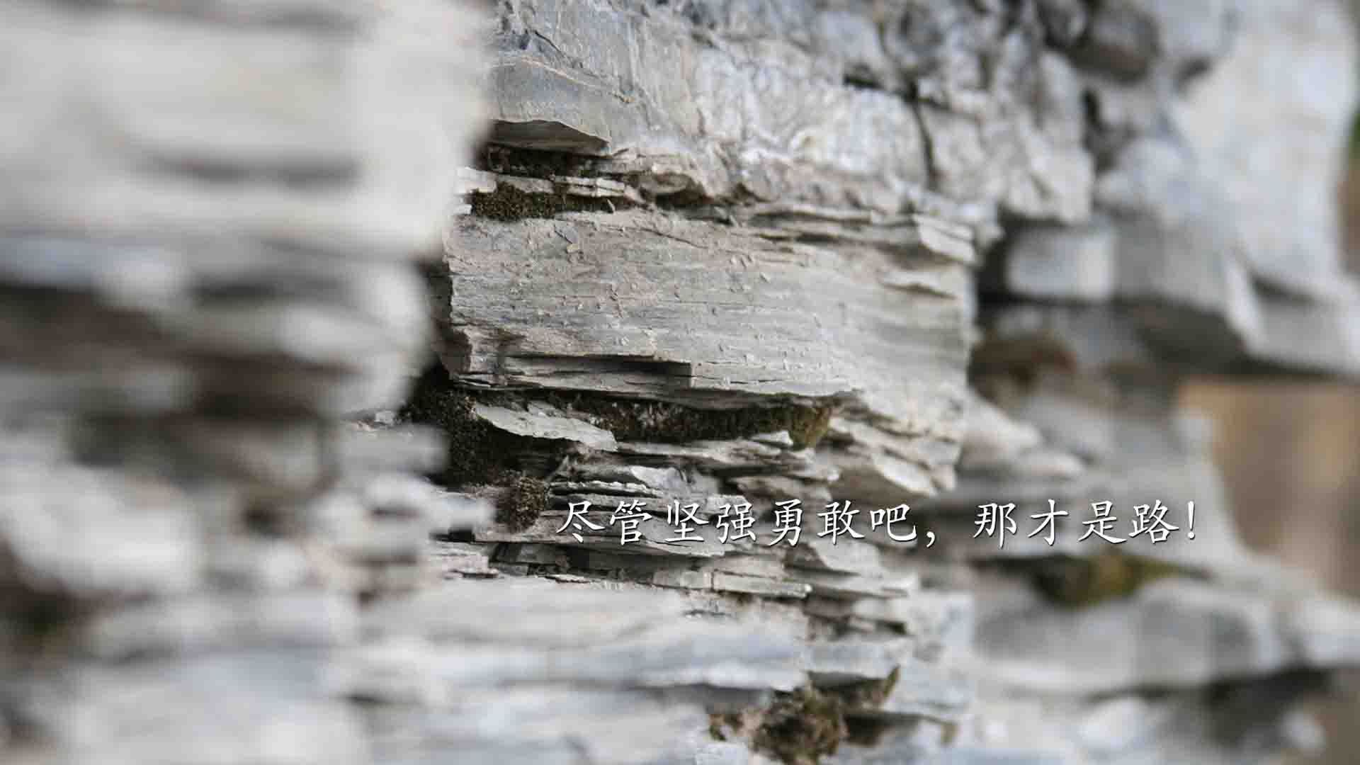 随机欧冠“天王”巡礼：那些永远难忘的传奇球星，欧冠经典回顾
