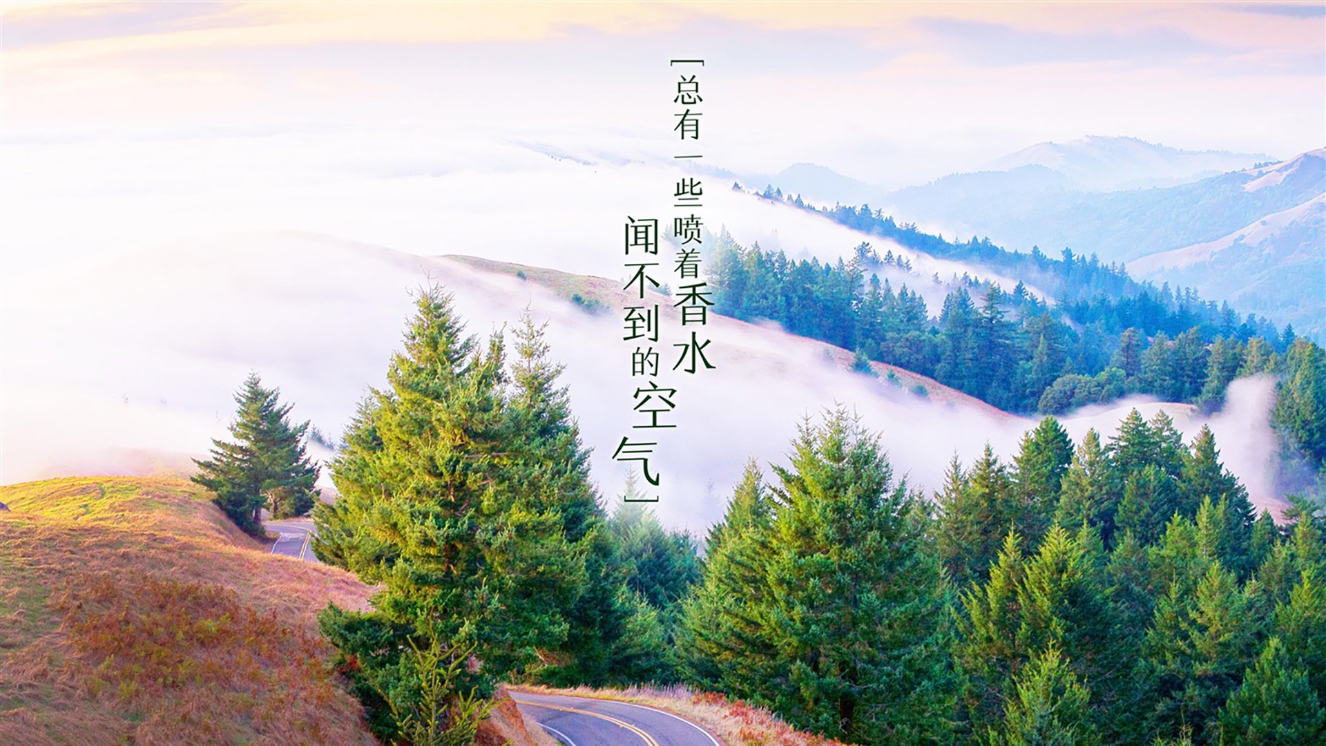 高效能源回收系统解析，能源回收率