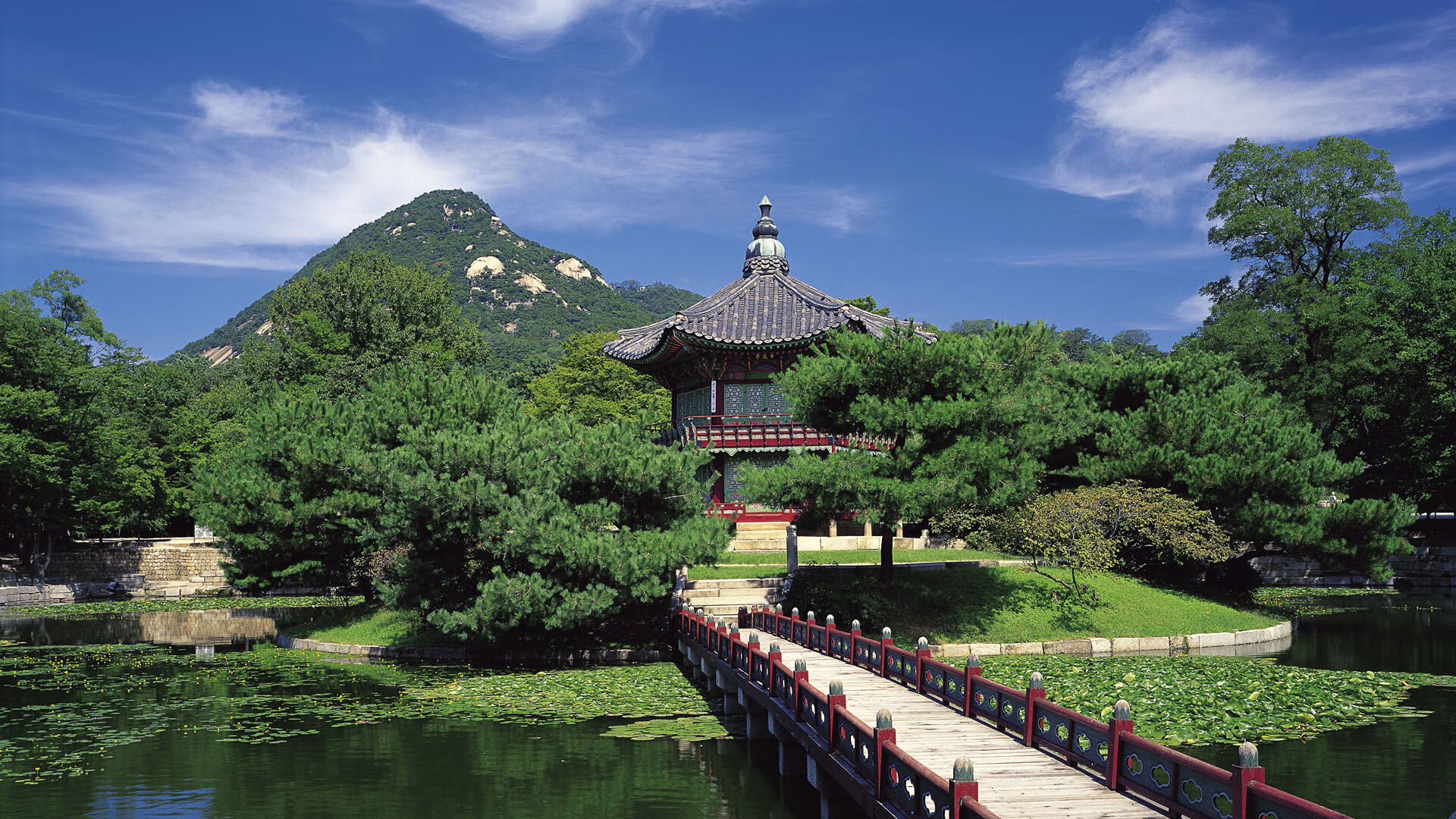 瑞士队在巴黎奥运会比赛中多次通过快速反击得分，2021奥运会瑞士出场顺序