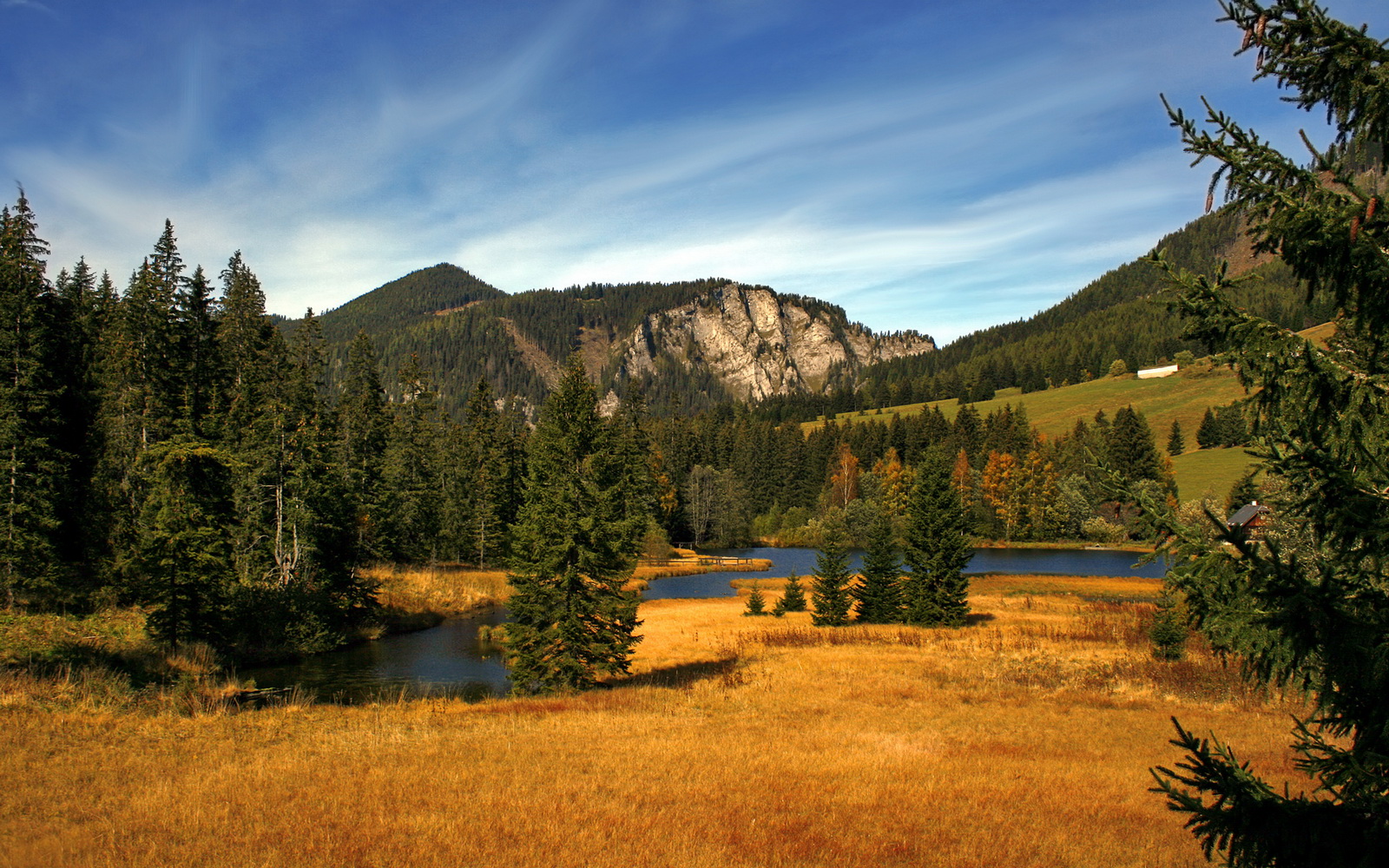 篮球专项技能动作视频资源开发及教学应用,篮球训练技能动作