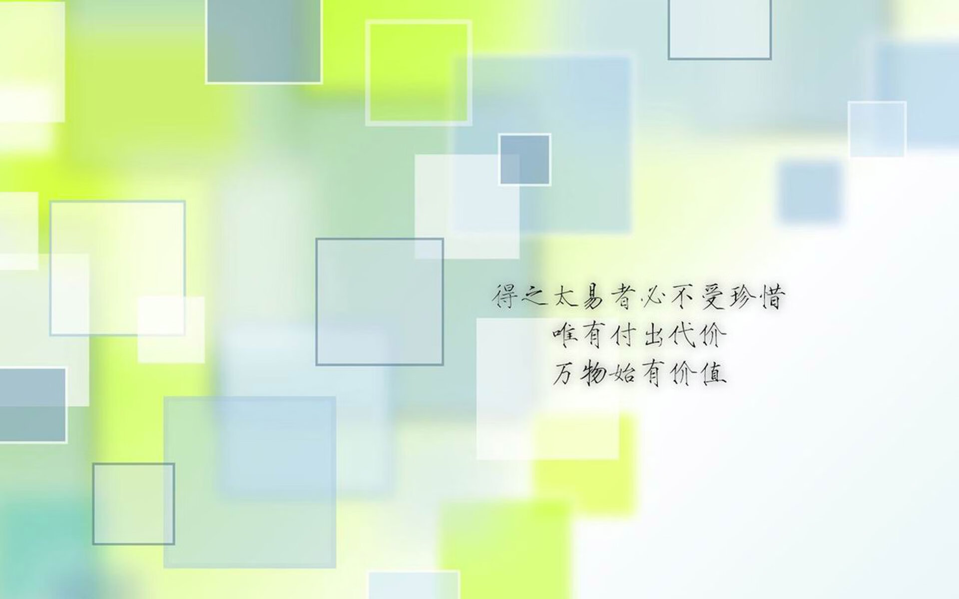 “新秀崭露锋芒，成都滑轮赛场竞争加剧”