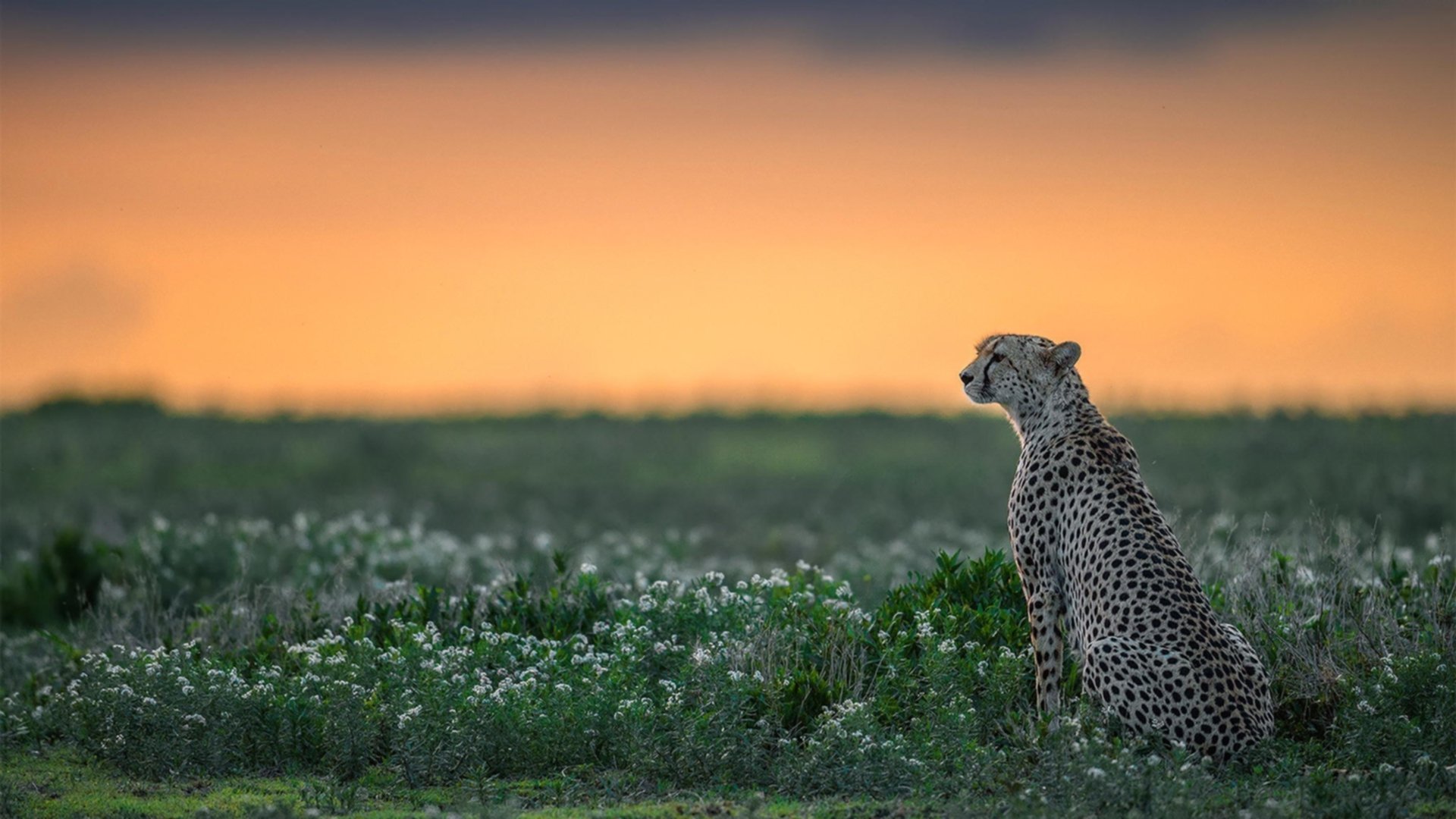 Kaiyun(中国)开云-投篮选择合理性如何改变比赛节奏，投篮调整