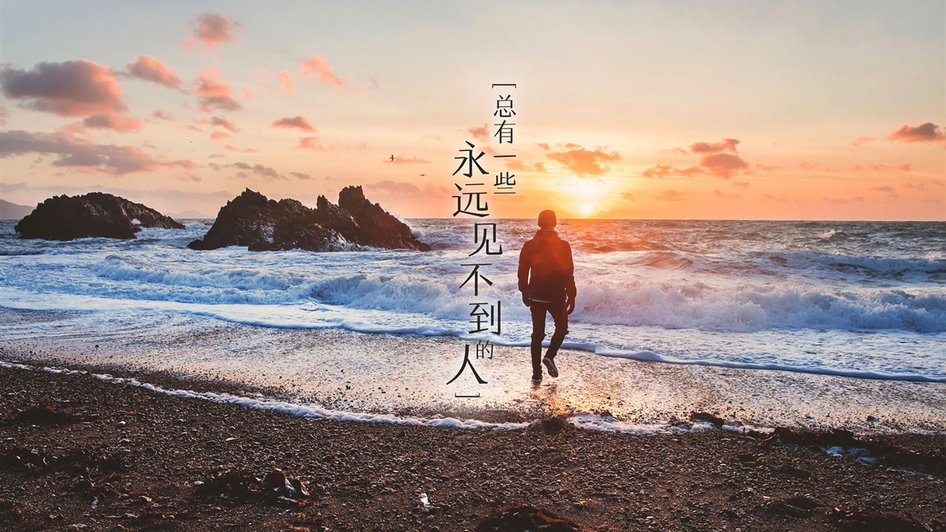 开云官网登录-本菲卡进攻组织更成熟，占据主动权，本菲卡是哪个国家的俱乐部