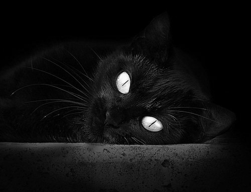 开云官方-高原马拉松吸引国内外专业选手参赛，马拉松高原训练的利与弊和原则