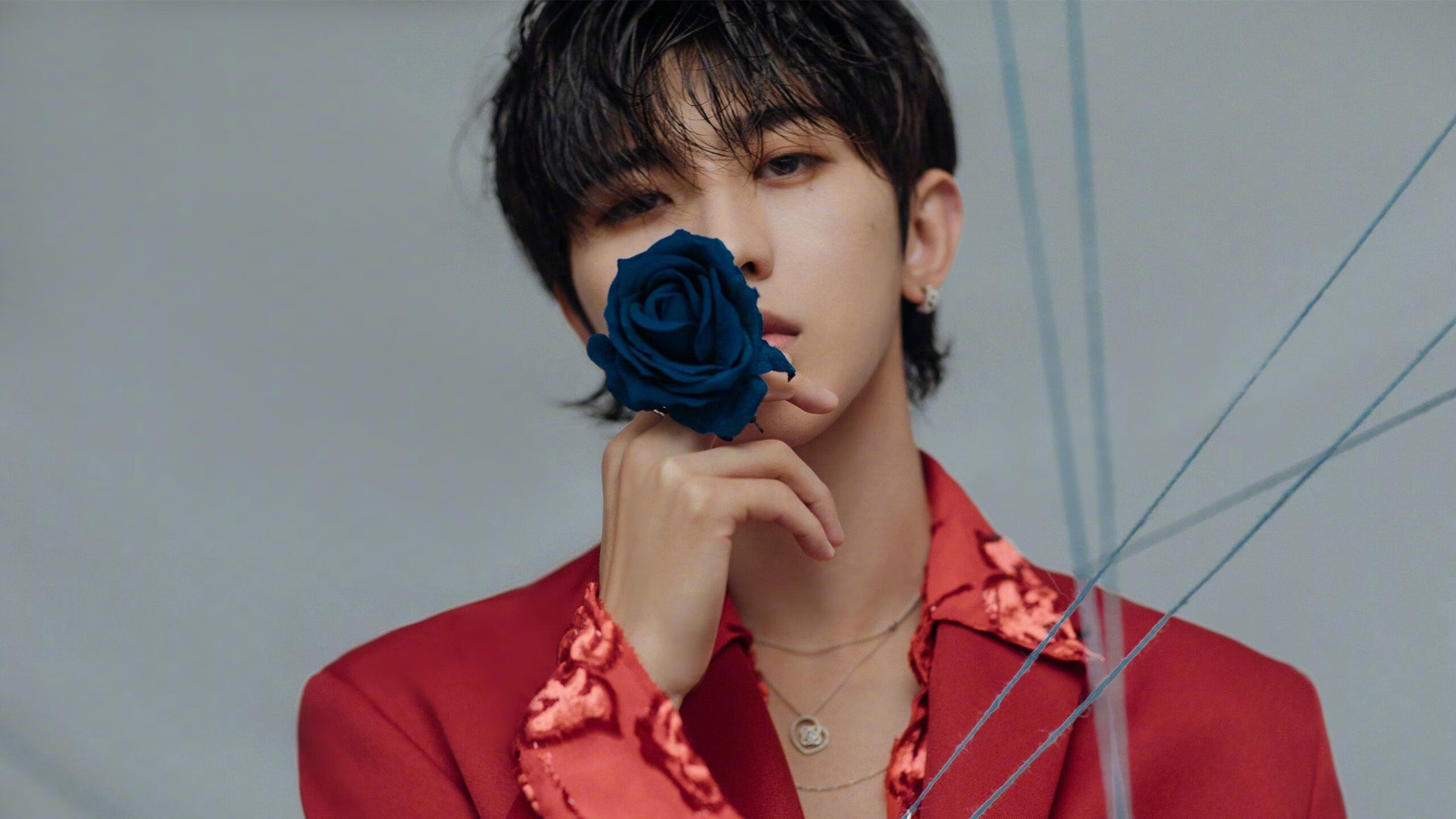 塔特带领袋鼠队逆转胜利，成为橄榄球冠军锦标赛的关键人物