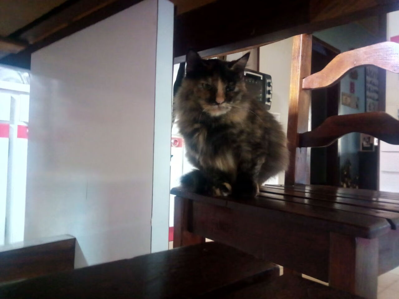 KAIYUNAPP-快船三分命中率位列联盟前三，快船三分命中率联盟第一