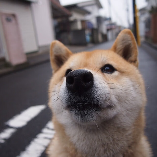 开云平台-林丹出席国际论坛畅谈运动员退役生活，林丹退役干啥去了