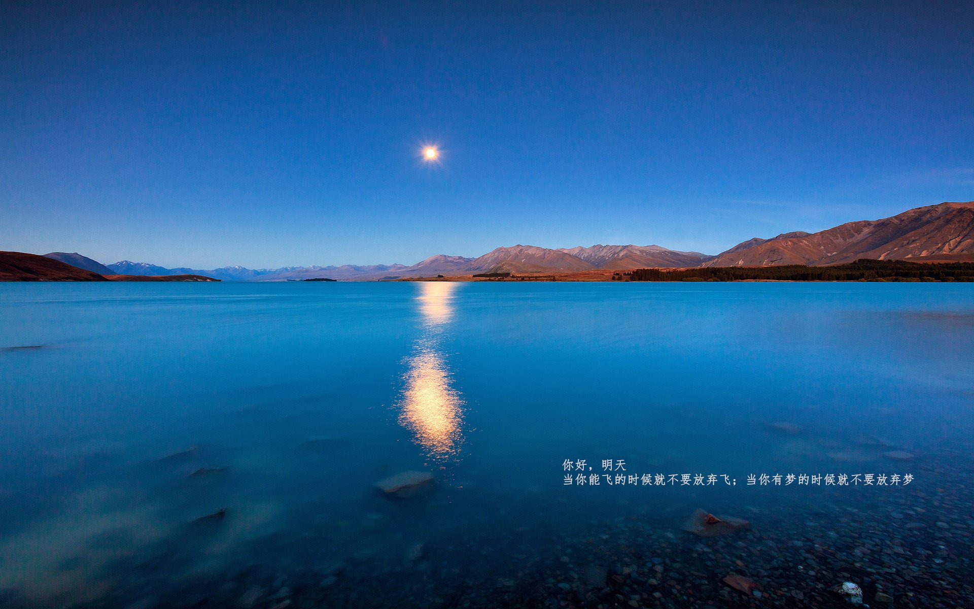 开云官网-法甲未来领军：新秀崭露头角，未来可期！，法甲首秀