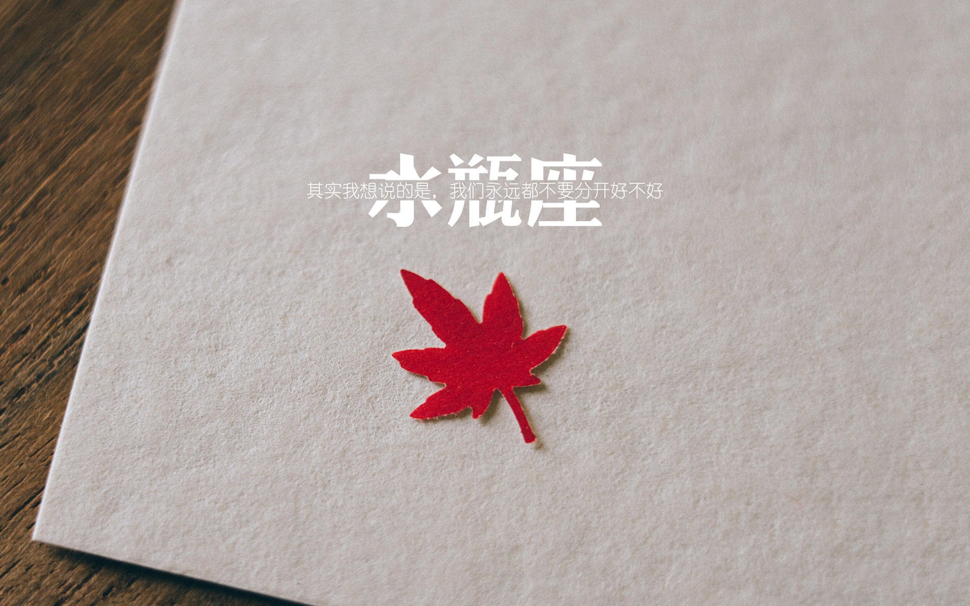 开云·体育官网APP下载-网球国家队年轻阵容挑战国际强队，网球国家队男队教练