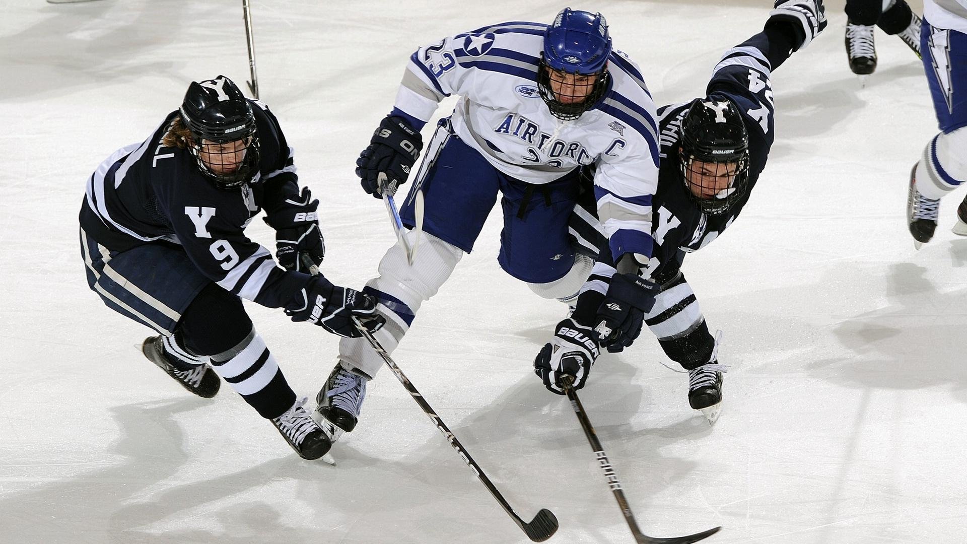 《【行业洞察】国际合作与技术创新驱动行业新腾飞》，打造国际合作新平台